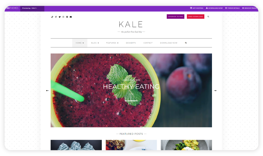 Kale WordPress Blog Themes