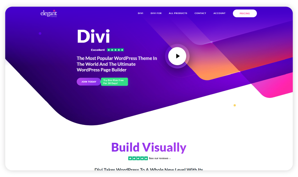 Divi WordPress Blog Themes